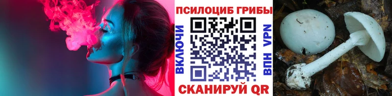 Псилоцибиновые грибы прущие грибы  Оленегорск 
